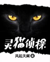 灵猫侦探