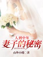 人到中年:妻子的秘密