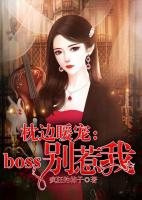 枕边暖宠：boss别惹我