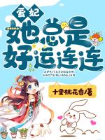 爱妃她总是好运连连