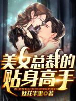 美女总裁的贴身高手