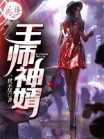 王师神婿