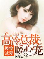 极致试爱：高冷总裁暖心宠