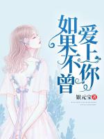 如果不曾爱上你