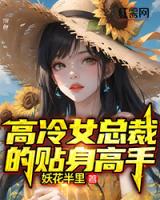 高冷女总裁的贴身高手