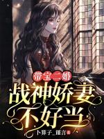 带宝二婚，战神娇妻不好当