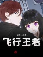 飞行王者