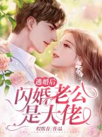 逃婚后，闪婚老公是大佬