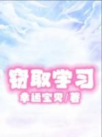 窃取学习