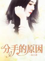 分手的原因
