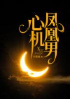 心机凤凰男