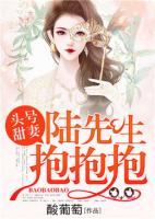 头号甜妻：陆先生抱抱抱