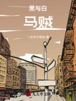 黑与白：马贼