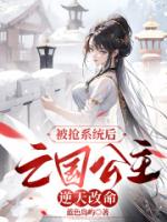 被抢系统后，亡国公主逆天改命