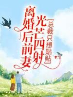 离婚后前妻光芒四射，总裁只想贴贴