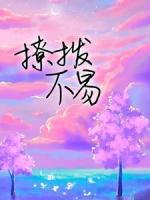撩拨不易