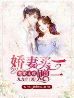 宠婚无度：娇妻买一赠一