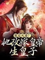 宠妾灭妻？她改嫁皇帝生皇子
