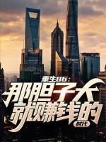 重生86：那胆子大就赚钱的时代