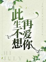 此生不想再爱你