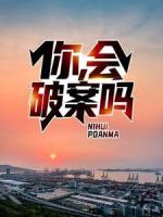 你，会破案吗