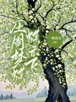 庄周梦蝶蝶亦飞