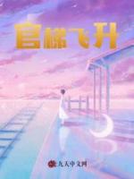 官梯飞升