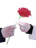 重回八零，假离婚成真后他慌了
