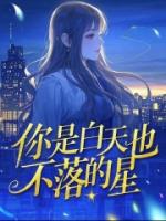 你是白天也不落的星