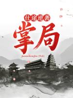 仕途逆袭：掌局