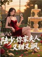 陆少，你家夫人又甜又飒