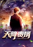 天降贵婿