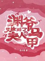 渊爷，又捡到了夫人的马甲