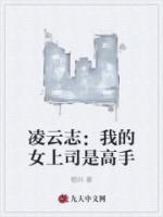 凌云志：我的女上司是高手