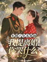 六年未见面,我提离婚你哭什么