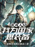 游戏入侵,我为国家爆装备