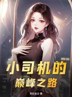 小司机的巅峰之路