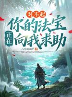 对不起,你的法宝正在向我求助