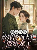 换亲六零:改嫁冷面大佬被娇宠了