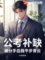 公考补缺:被分手后我平步青云