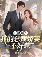 上错婚车：我的总裁娇妻不好惹