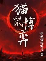 猫鼠博弈