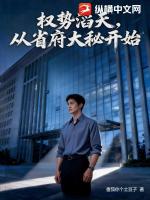 权势滔天，从省府大秘开始