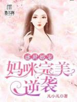 盛世婚宠：妈咪完美逆袭