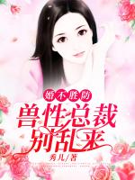 婚不胜防：兽性总裁别乱来