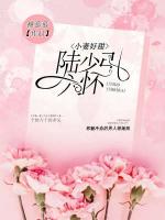 小妻好甜:陆少引入怀