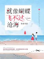 就像蝴蝶飞不过沧海