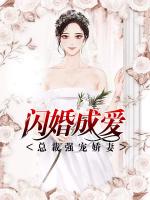 闪婚成爱：总裁强宠娇妻